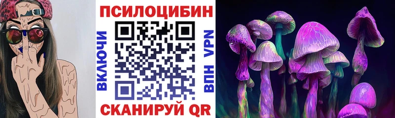 Псилоцибиновые грибы мицелий  Камышлов 